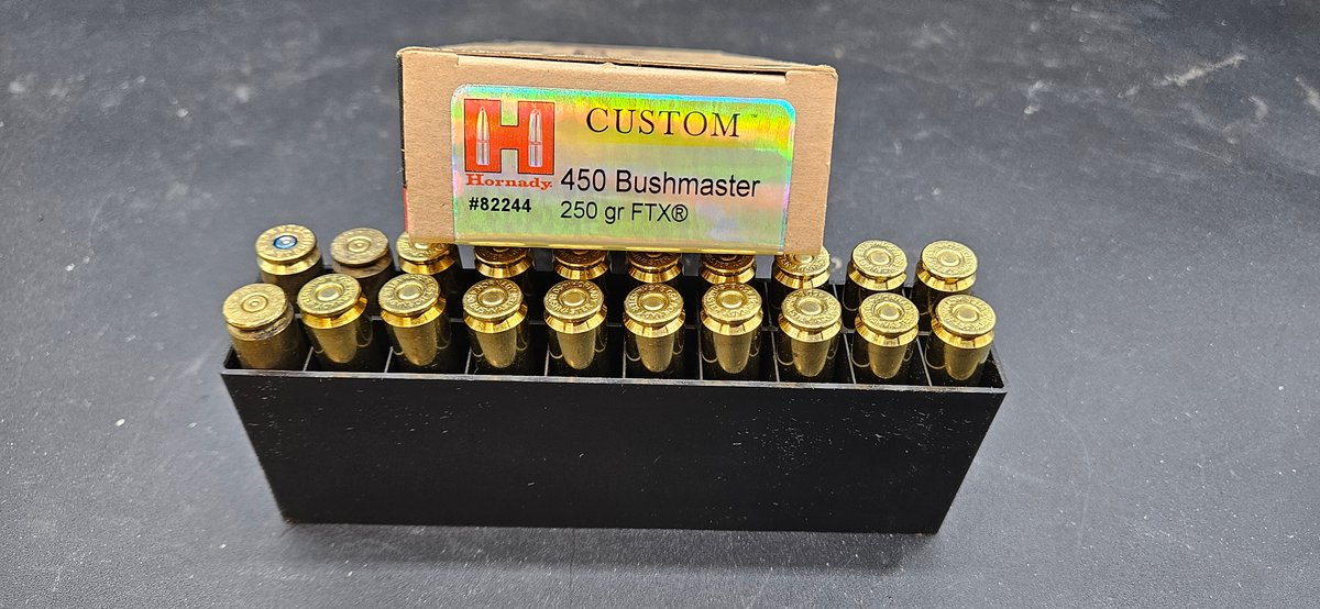Hornady Custom .450 Bushmaster 250 gr FTX Ammunition