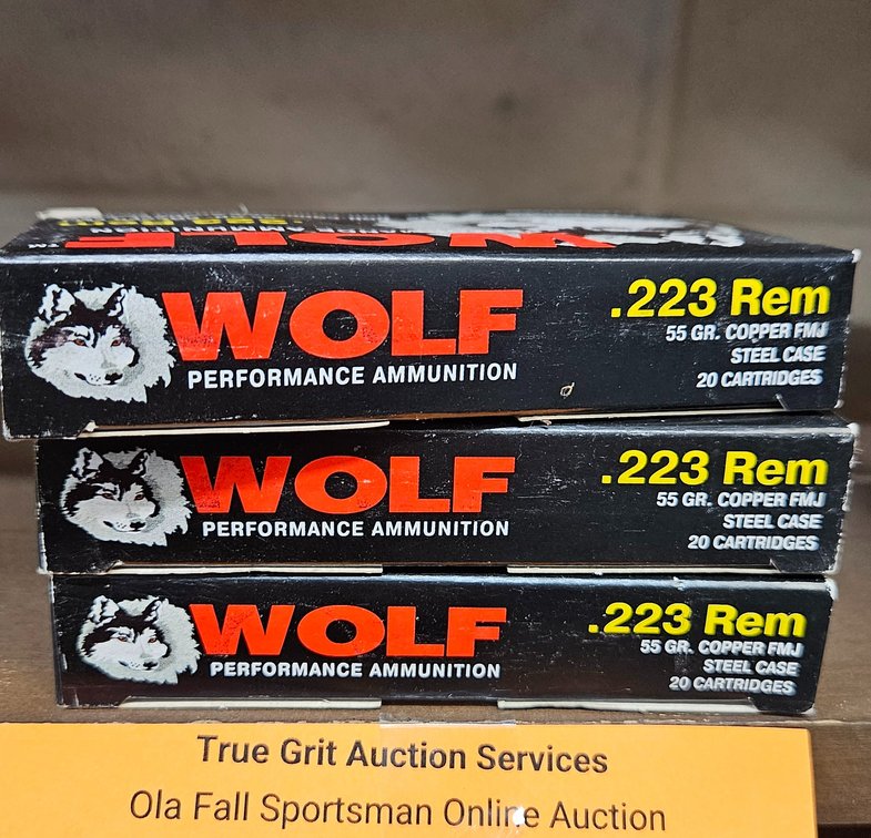 Wolf Performance Ammunition .223 Rem 55 Gr FMJ