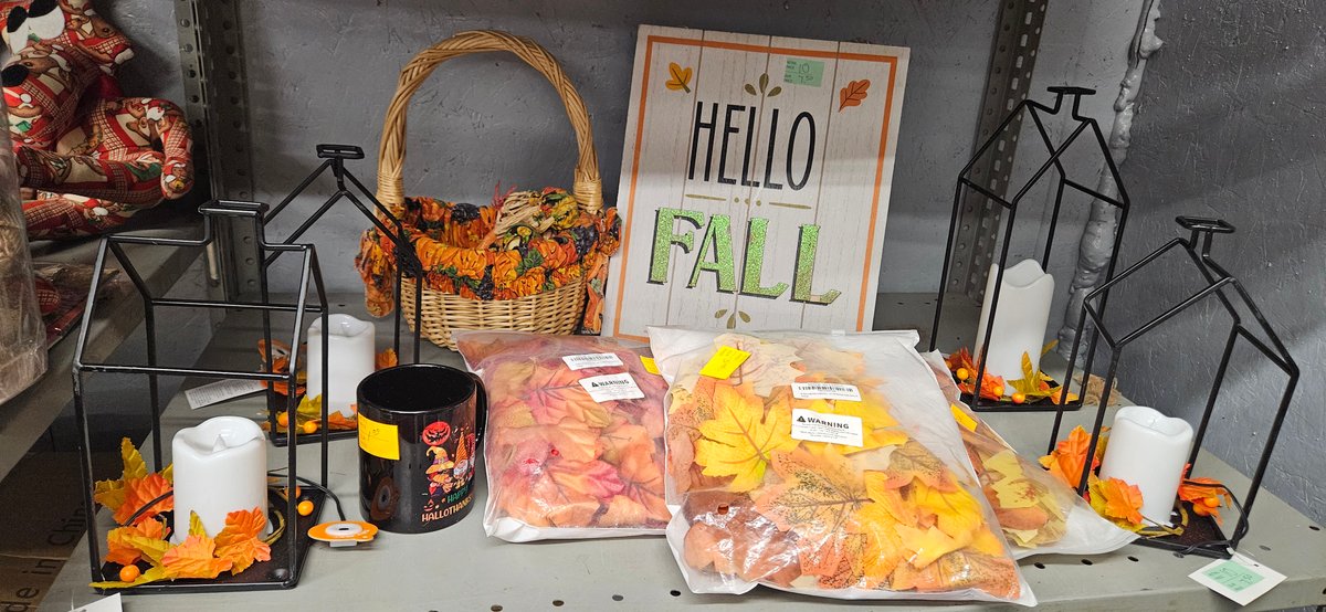 Fall Decor Lot with Lanterns, Wood Sign, Basket, and Mug