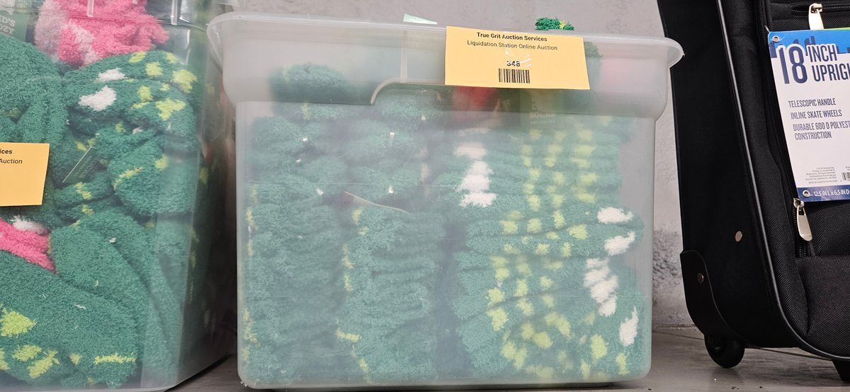 Plastic Storage Tote of Kid's Cozy Socks
