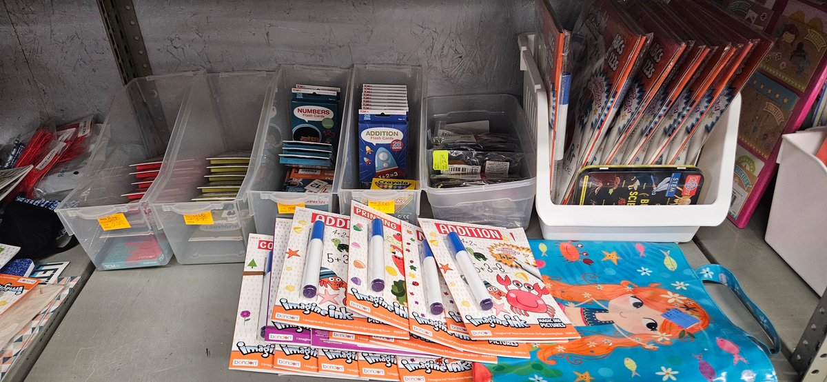 Educational Activity Books, Flash Cards, and Storage Bins