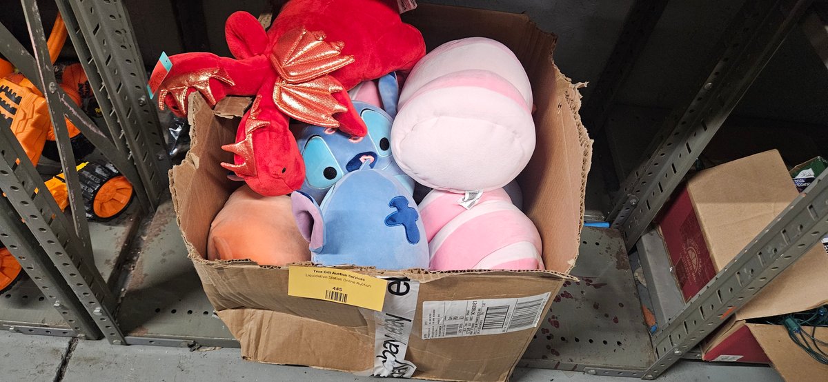 Two-Headed Dragon Plush, Orange Cat Plush, and More