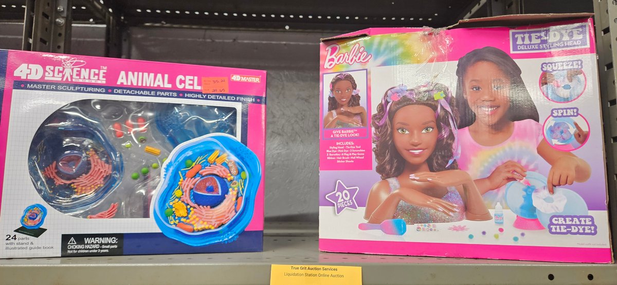 4D Master Animal Cell Model and Barbie Deluxe Styling Head