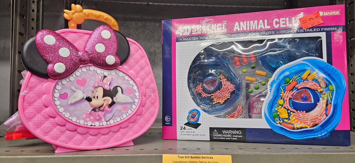 Minnie Mouse Toy Case and Animal Cell Anatomy Model Kit