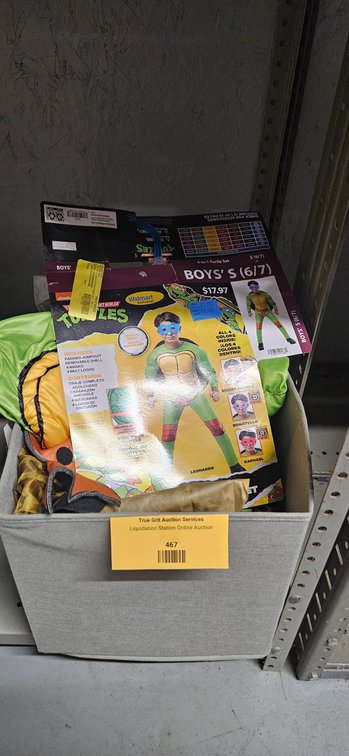 Costume Set, Inflatable Animal Suit, and Storage Bin