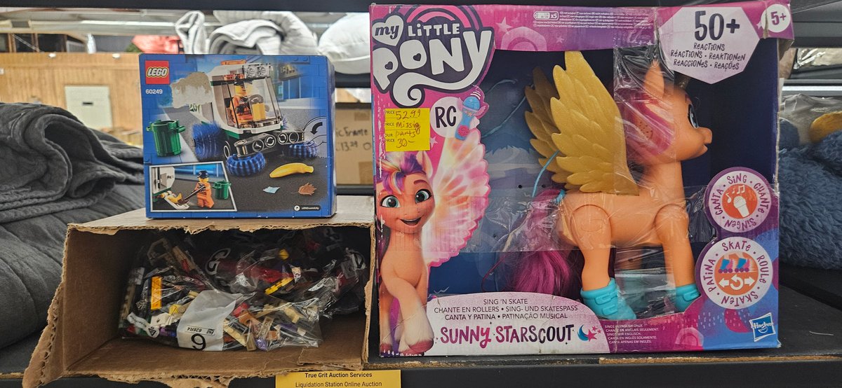 Remote Control Toy Pony and Building Brick Set
