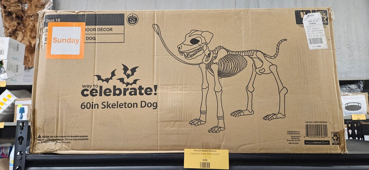Way to Celebrate 60 in Skeleton Dog Door Decor