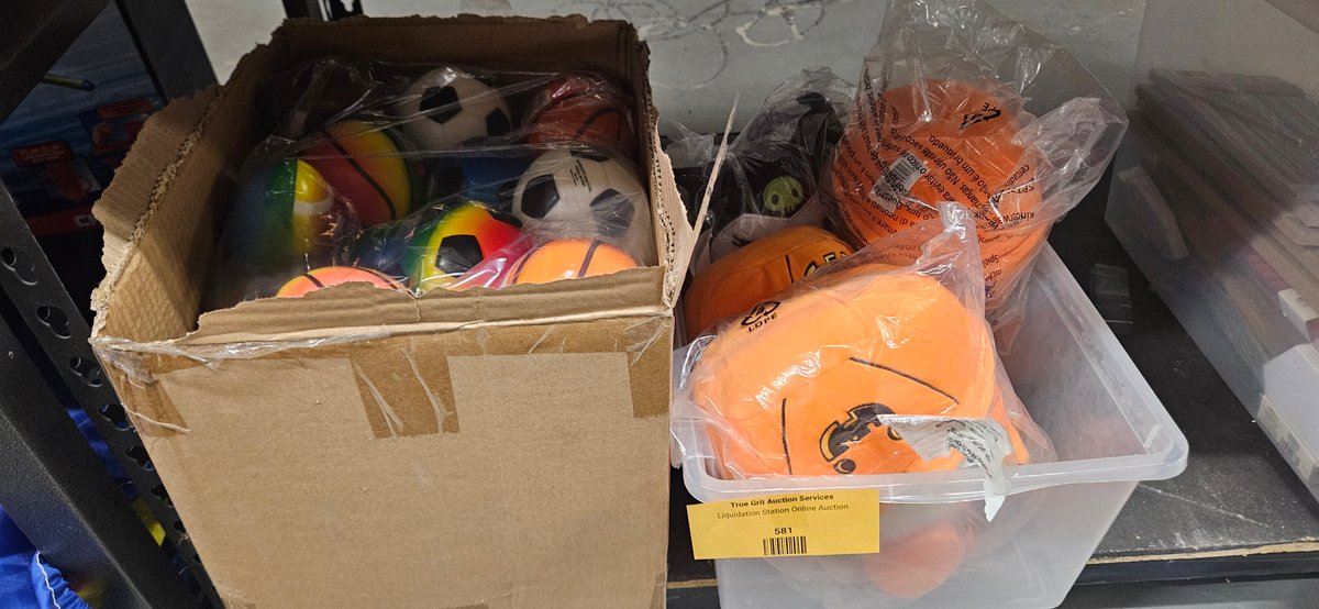 Miniature Foam Sports Balls and Character Plush Toys