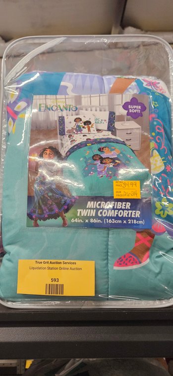 Disney Encanto Microfiber Twin Comforter
