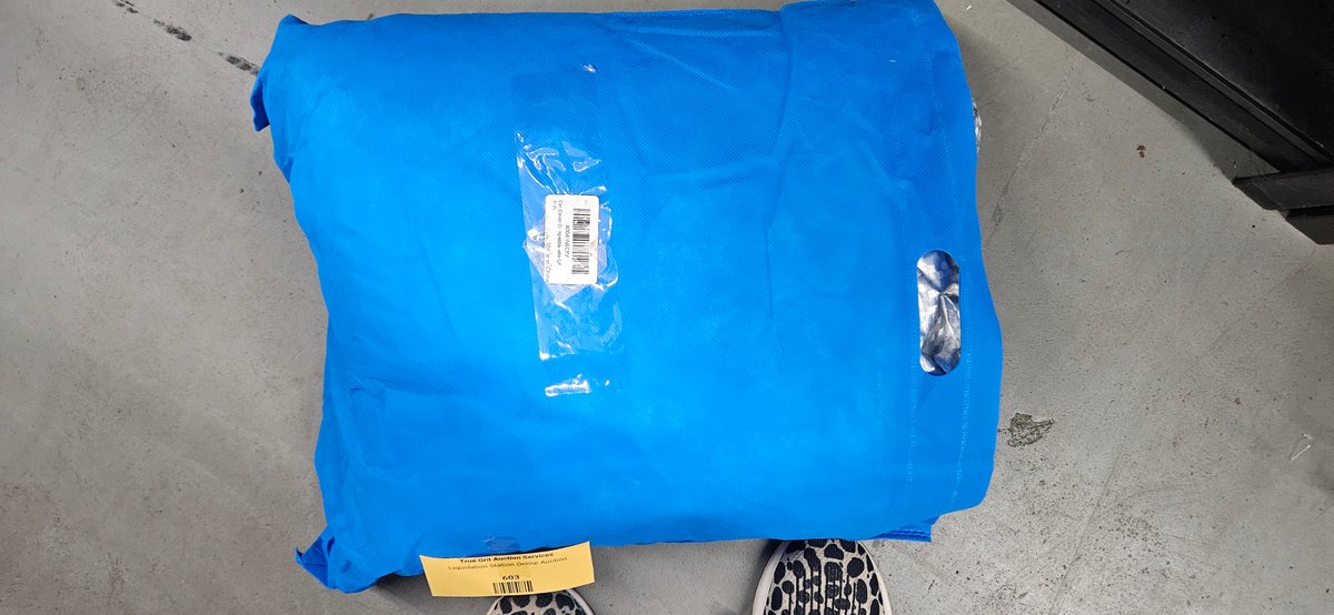 Silver Reflective Car Cover in Storage Bag