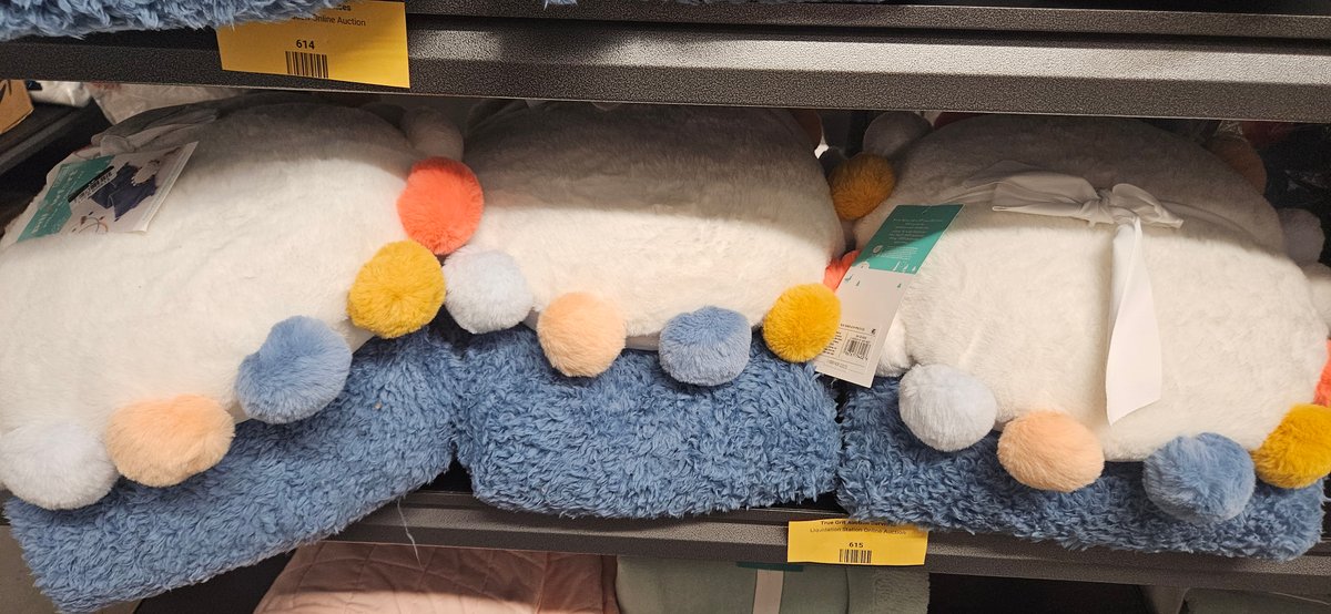 Pillowfort Plush Throw Blanket and Pom-Pom Pillow Sets