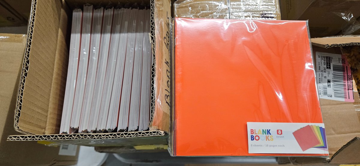 Bullseye's Playground Blank Books, Four Cases