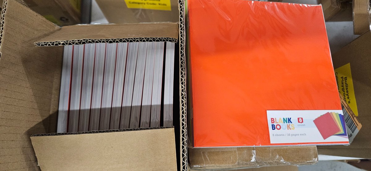 Bullseye's Playground Blank Books in Four Cartons