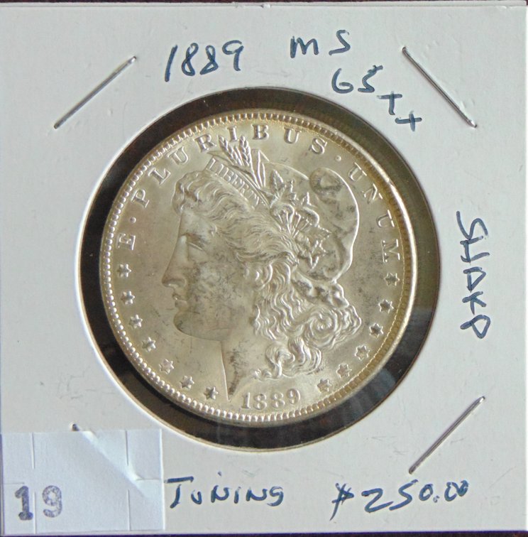 1889 Morgan Dollar MS++.