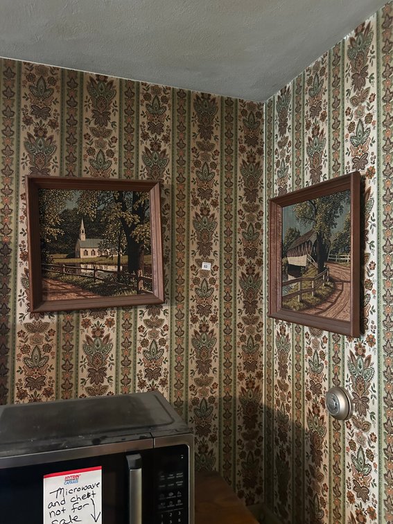 Pair of Fabric Prints