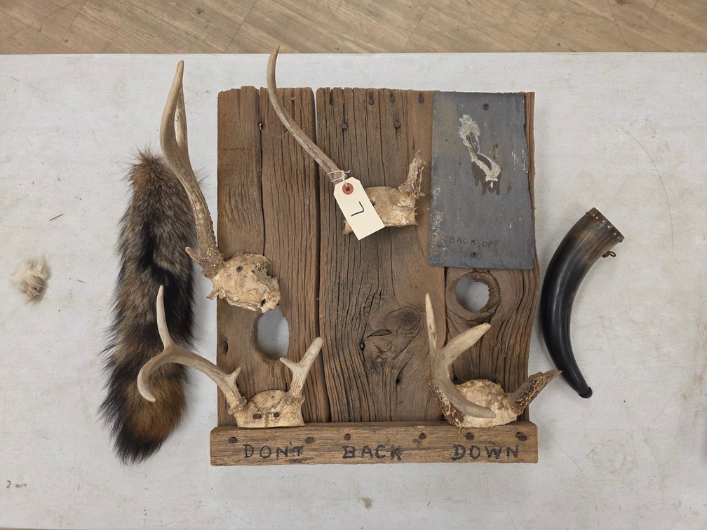 Antler Mounts on Wooden Plaque