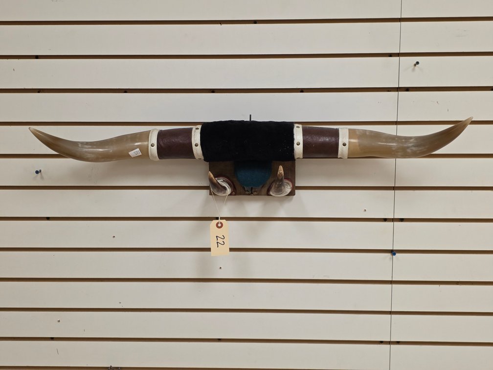 Mounted Steer Horns & Hoof