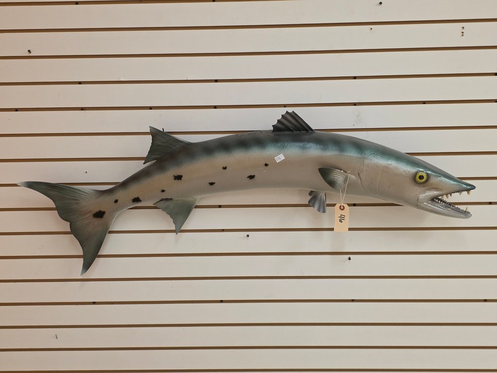 Barracuda Full Body Mount