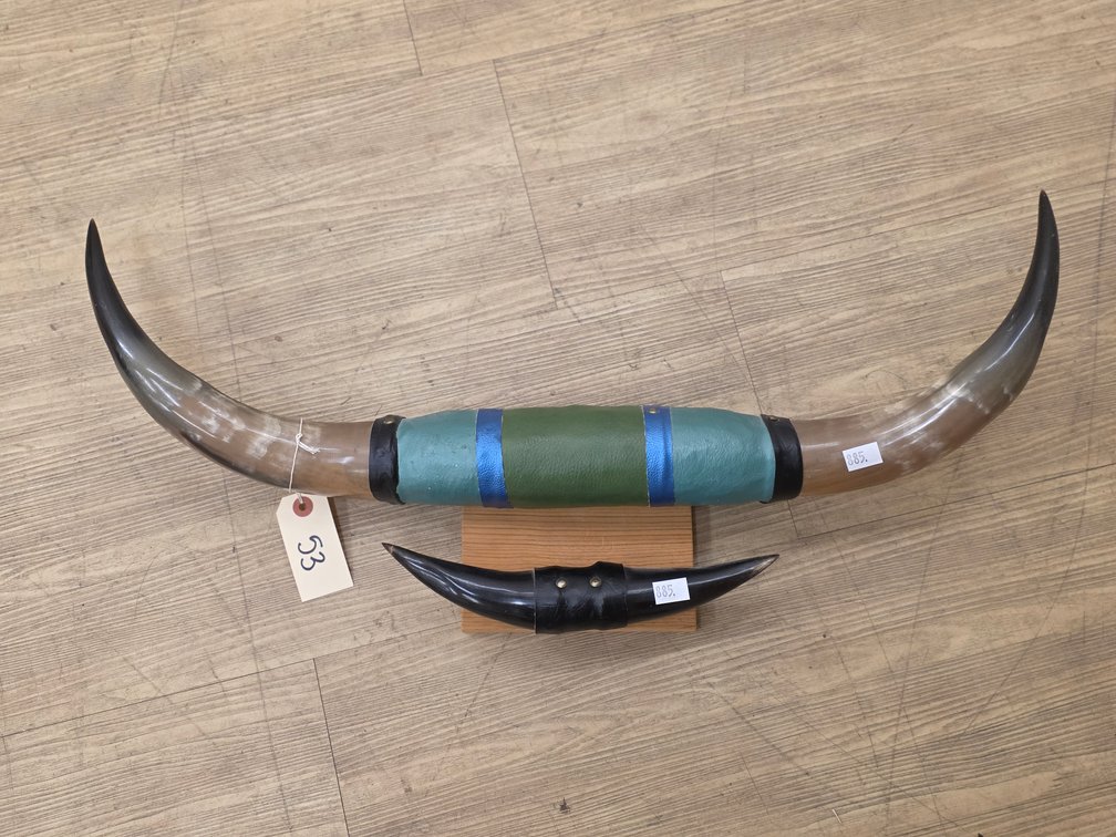 Steer Horn Mount