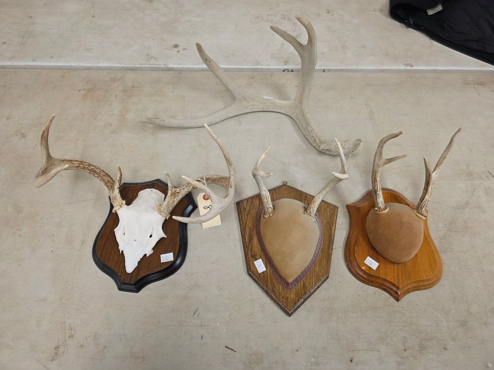(3) Antler Mounts & (1) Shed