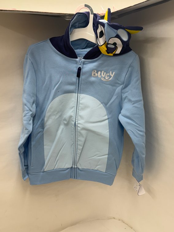 (9x Bid) Bluey Hoodie