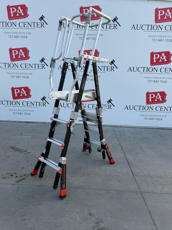 New 4-6 Little Giant Cage Ladder