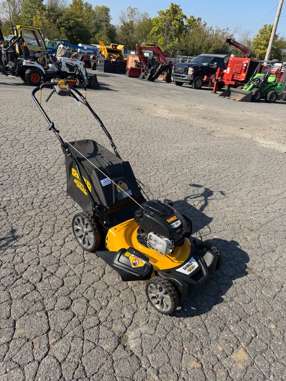 Dewalt Self Propelled Walk Behind Mower