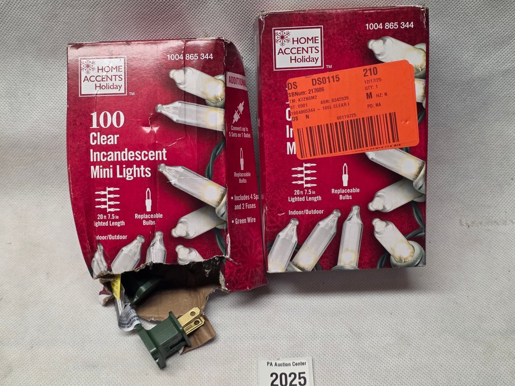 Home Accents Holiday 100 Clear Incandescent Mini Lights