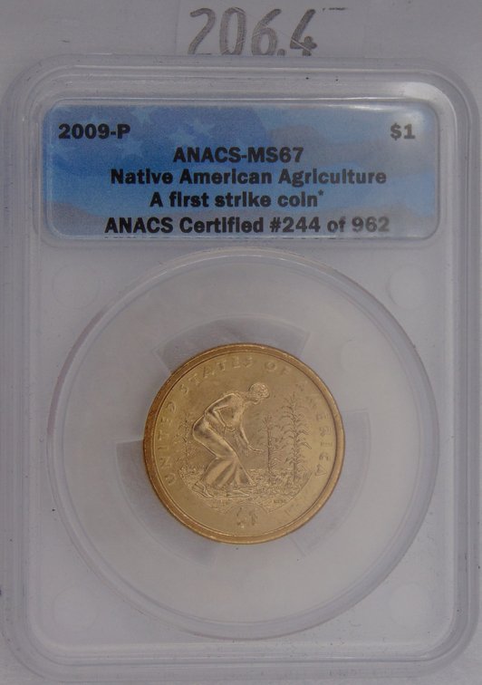 2009-P Native American $1 ANACS MS67, A First Strike Coin.