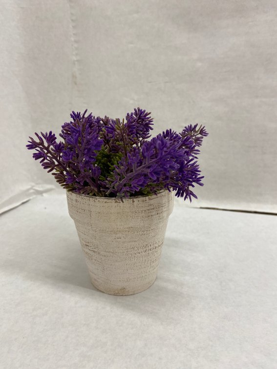 (12x Bid)5" Artificial Plant