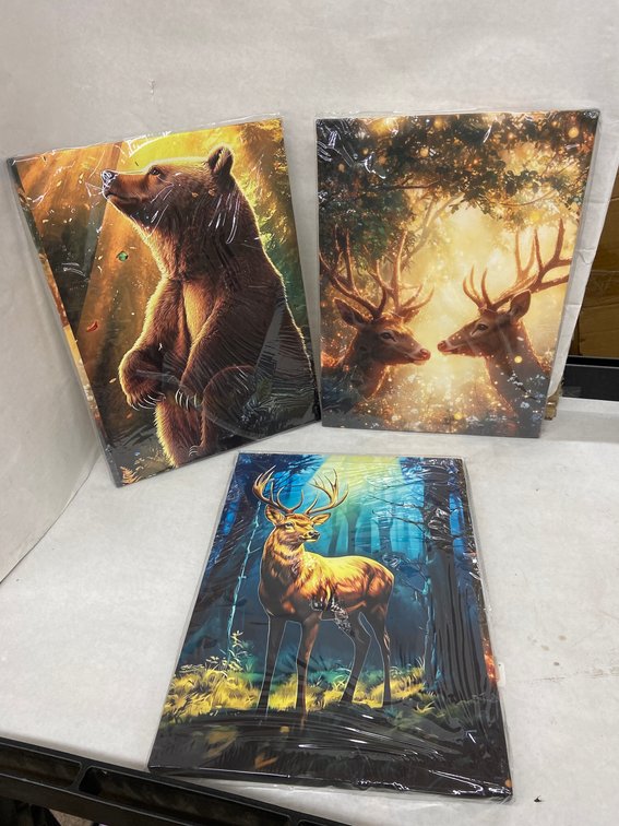 15.5"x11.5" 3pc Pictures