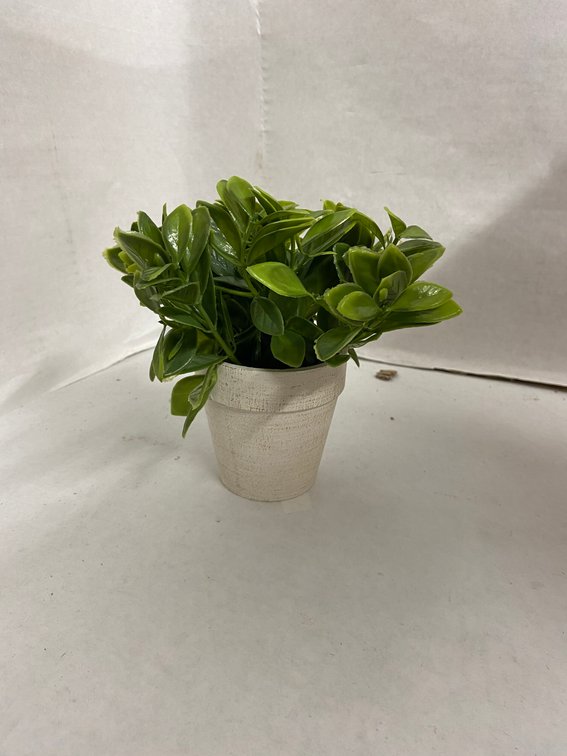 (12x Bid)6" Artificial Plant