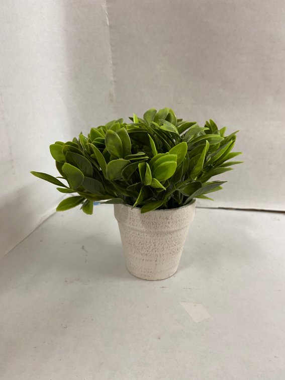 (36x Bid)6" Artificial Plant