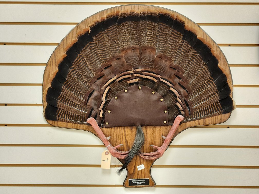 Turkey Fan, Beard & Feet on Wooden Plaque