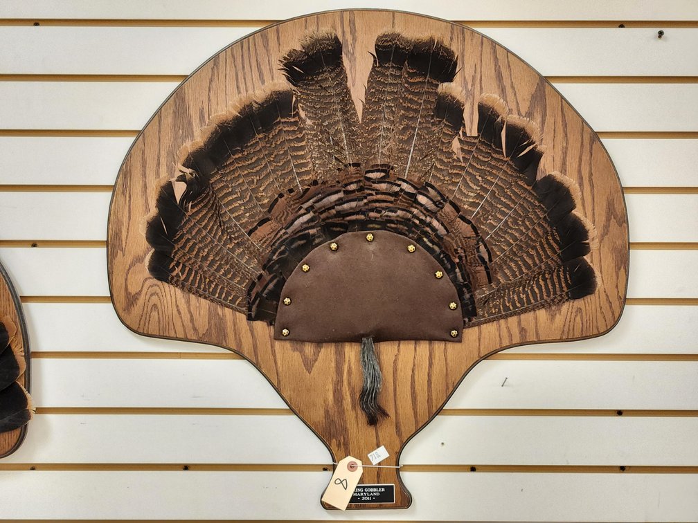 Turkey Fan & Beard on Wooden Plaque