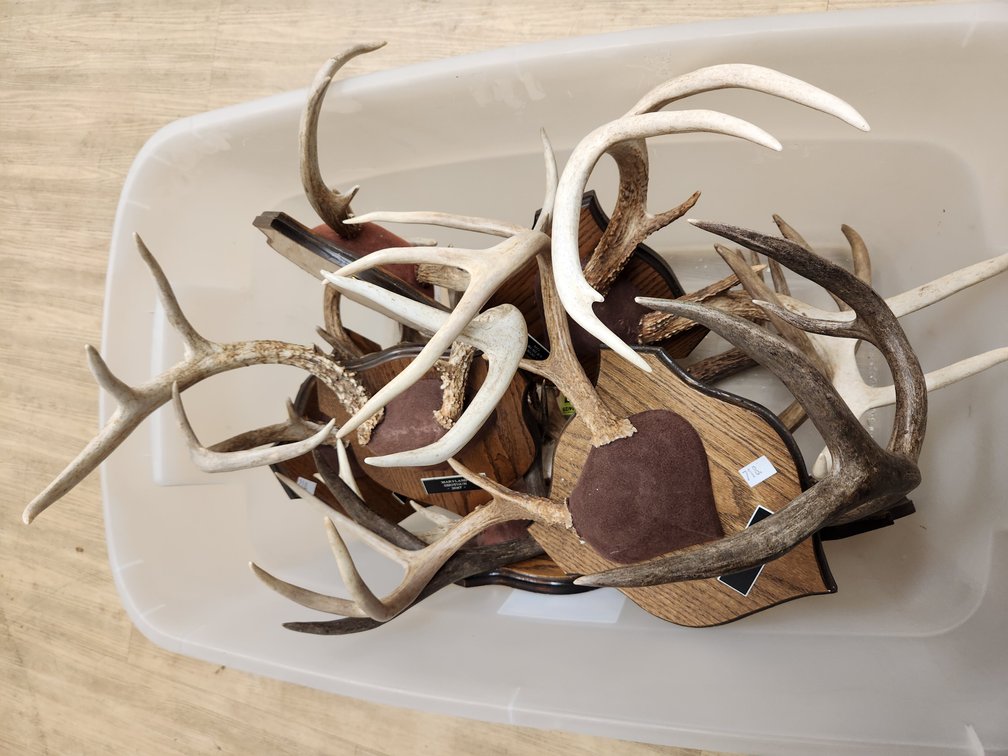 (9) Antler Mounts