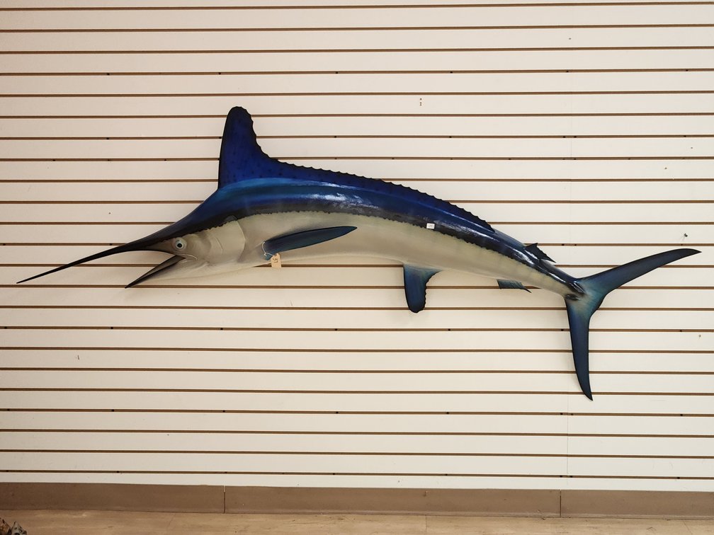 Marlin Full Body Mount