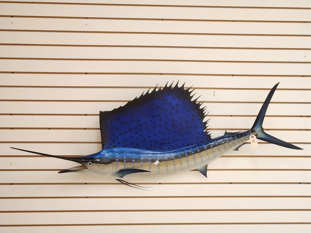 Sailfish Full Body Mount