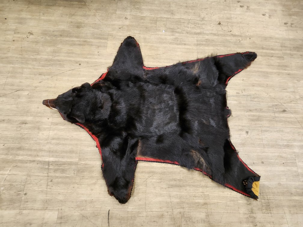 Black Bear Rug w/ Head & Paws