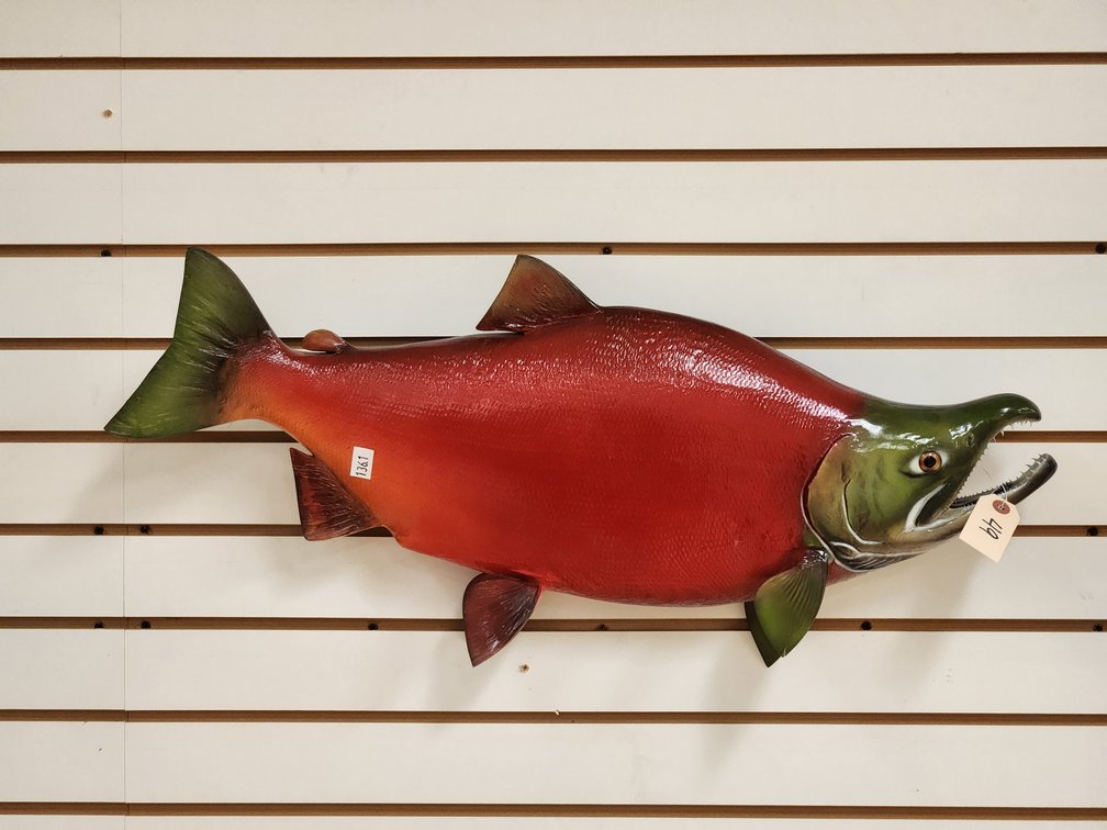 Salmon Full Body Mount