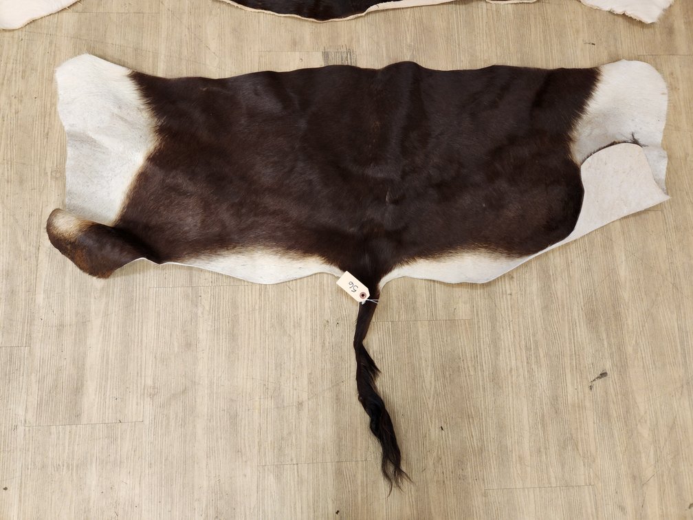 Partial Sable Hide