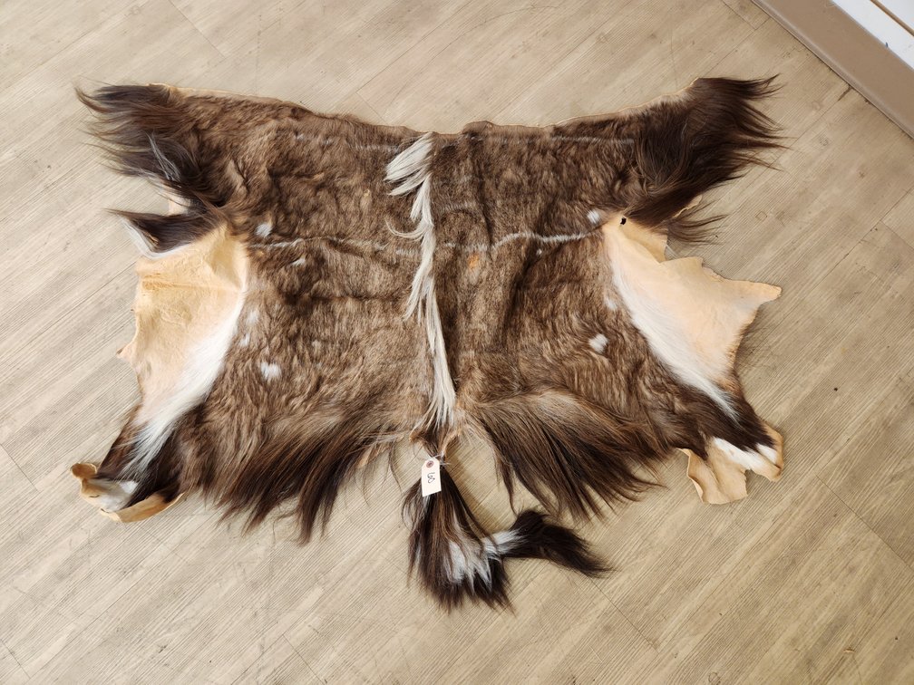Partial Kudu Hide