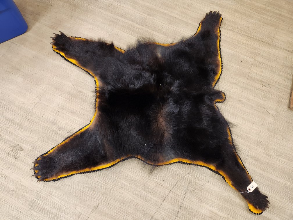 Partial Black Bear Rug