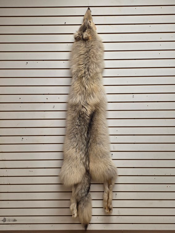 Wolf Pelt