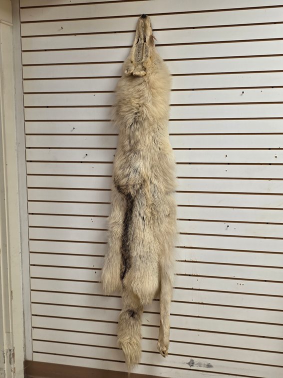 Wolf Pelt
