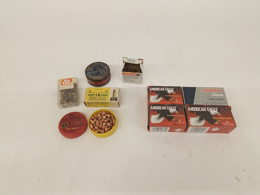 (300+ Rds.) 22LR Ammo, & Blanks, 6mm & 22