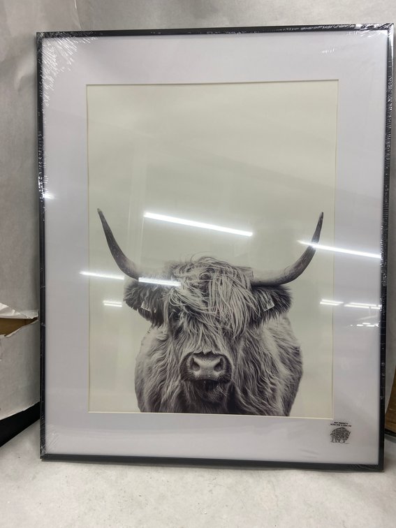 (3x Bid)Homeforia 24"x30" Picture Frame