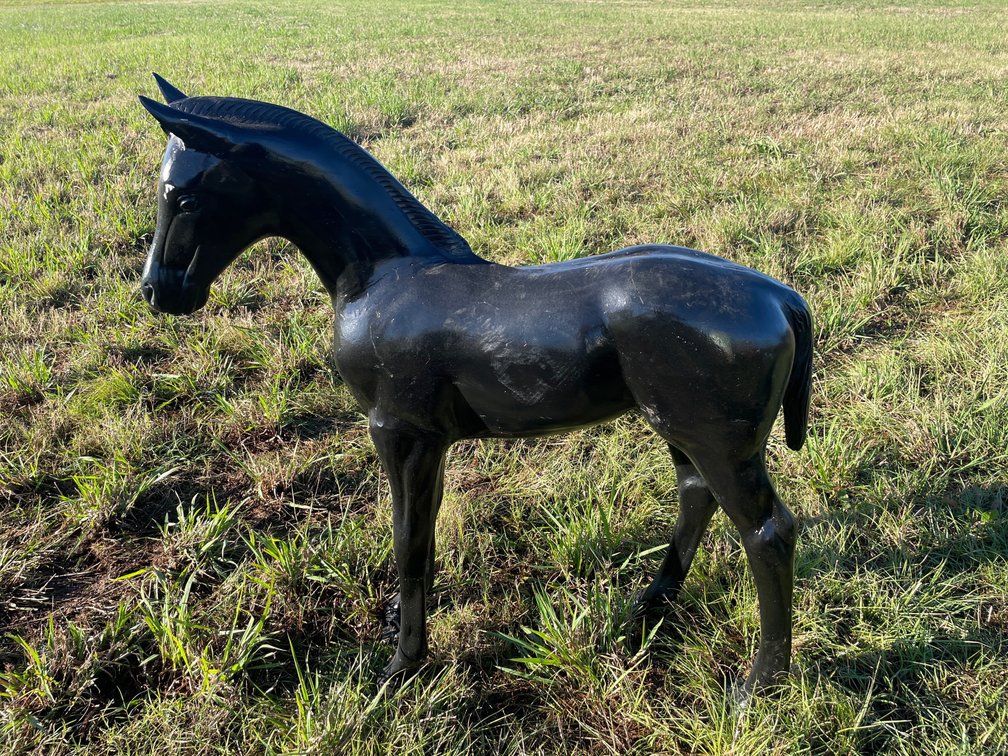Aluminum Horse