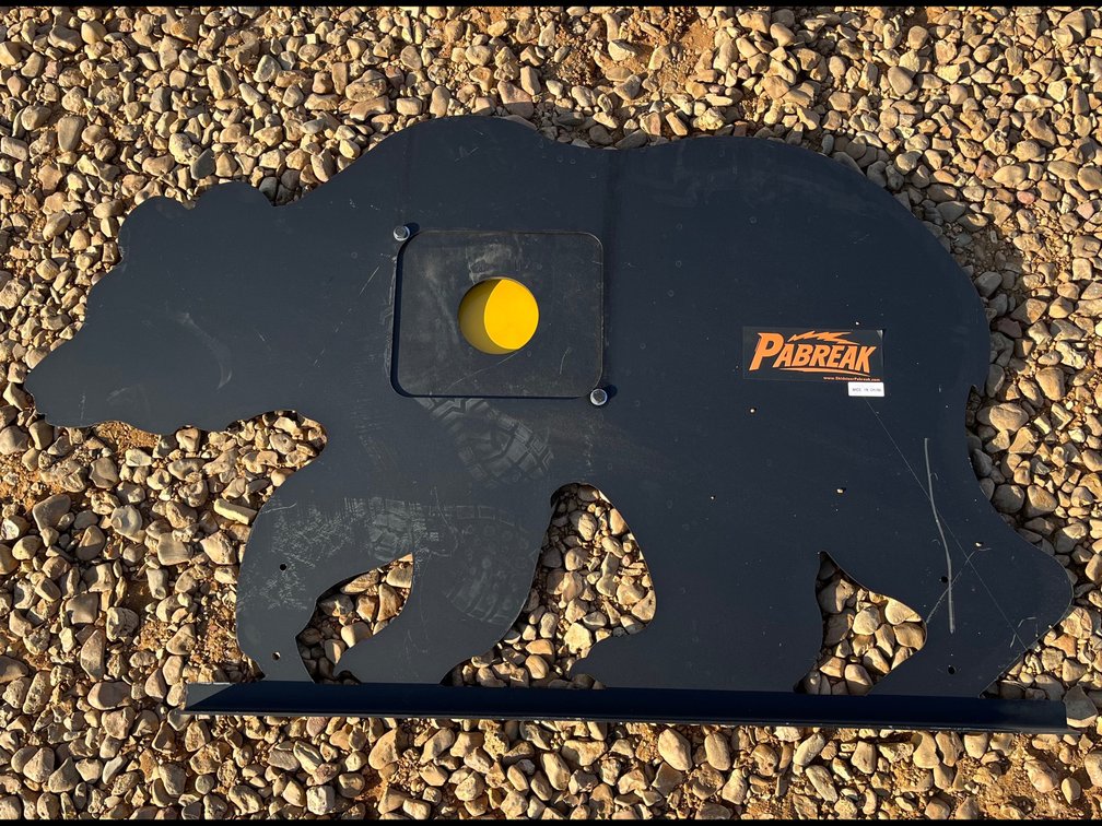 Bear shooting target