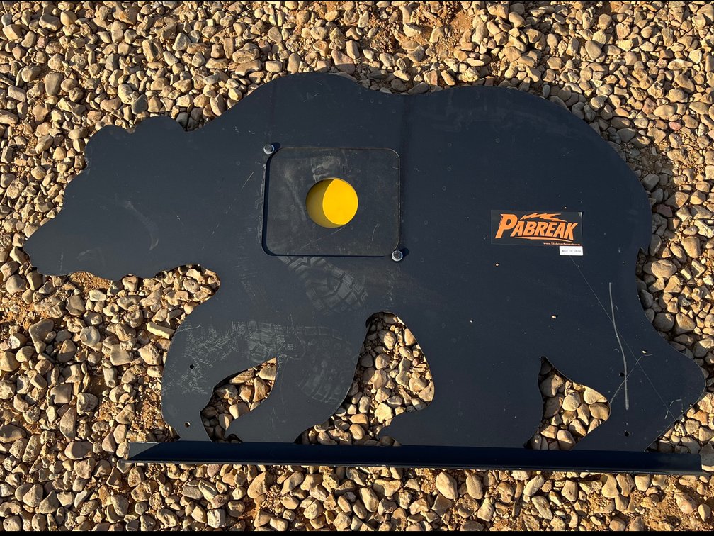 Bear shooting target